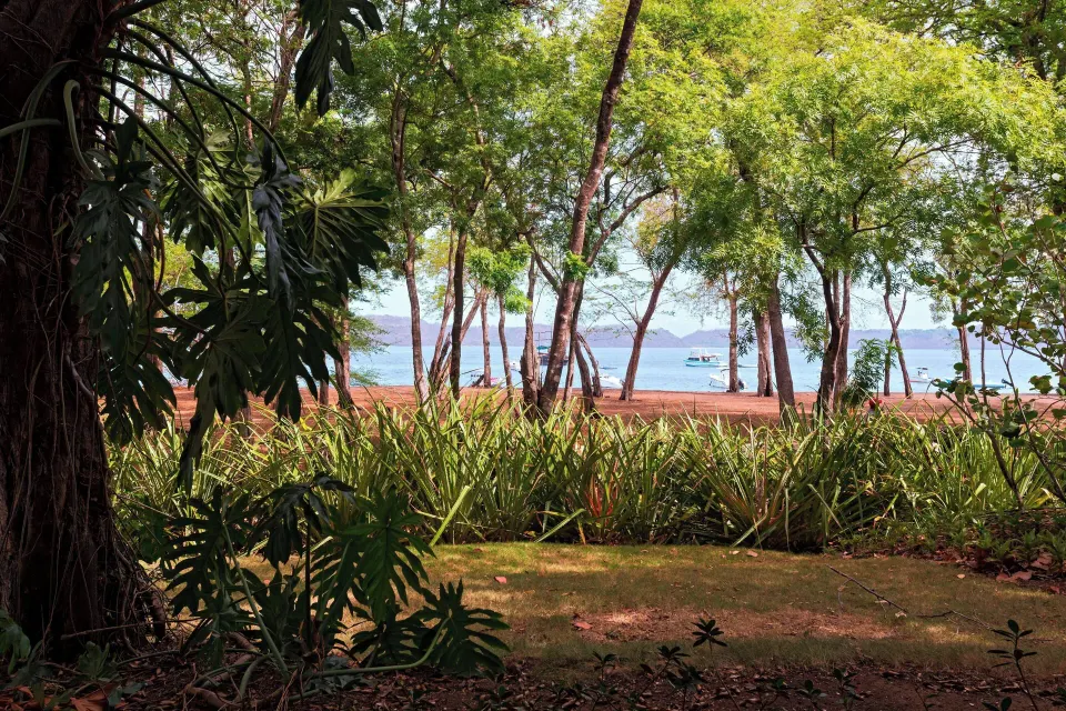 Framed seaside view through trees showing a boat off the shore at El Mangroove Papagayo