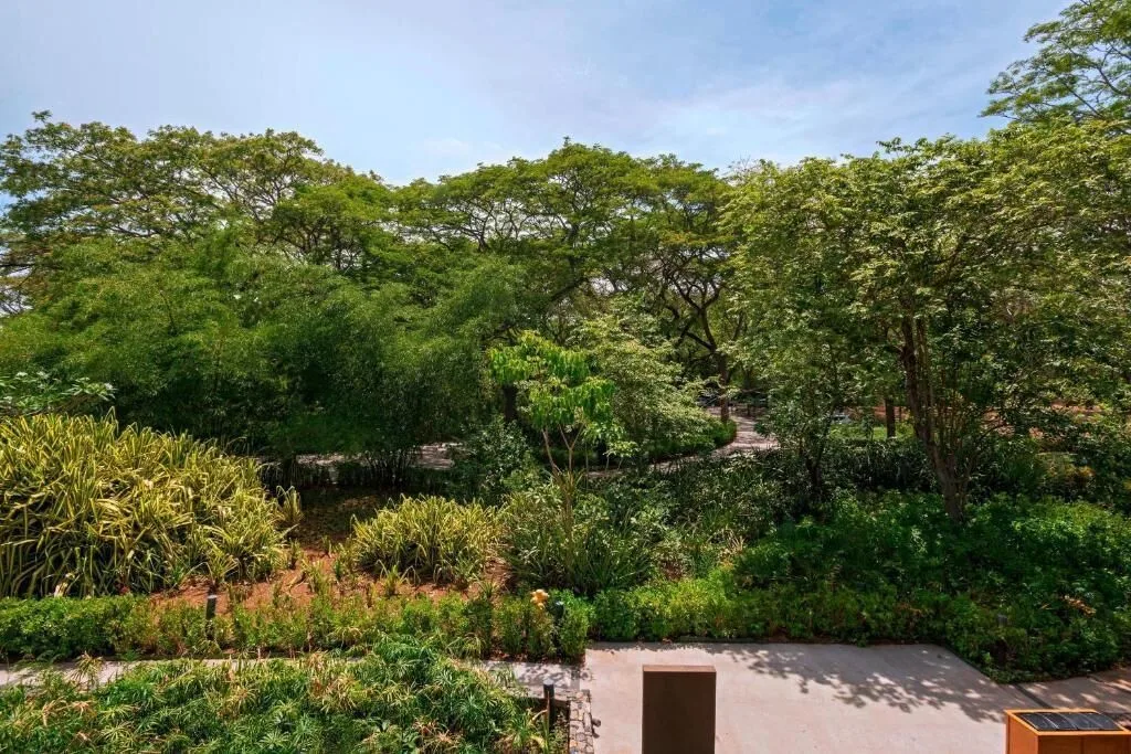 Lush tropical landscaping and treetops at El Mangroove Papagayo