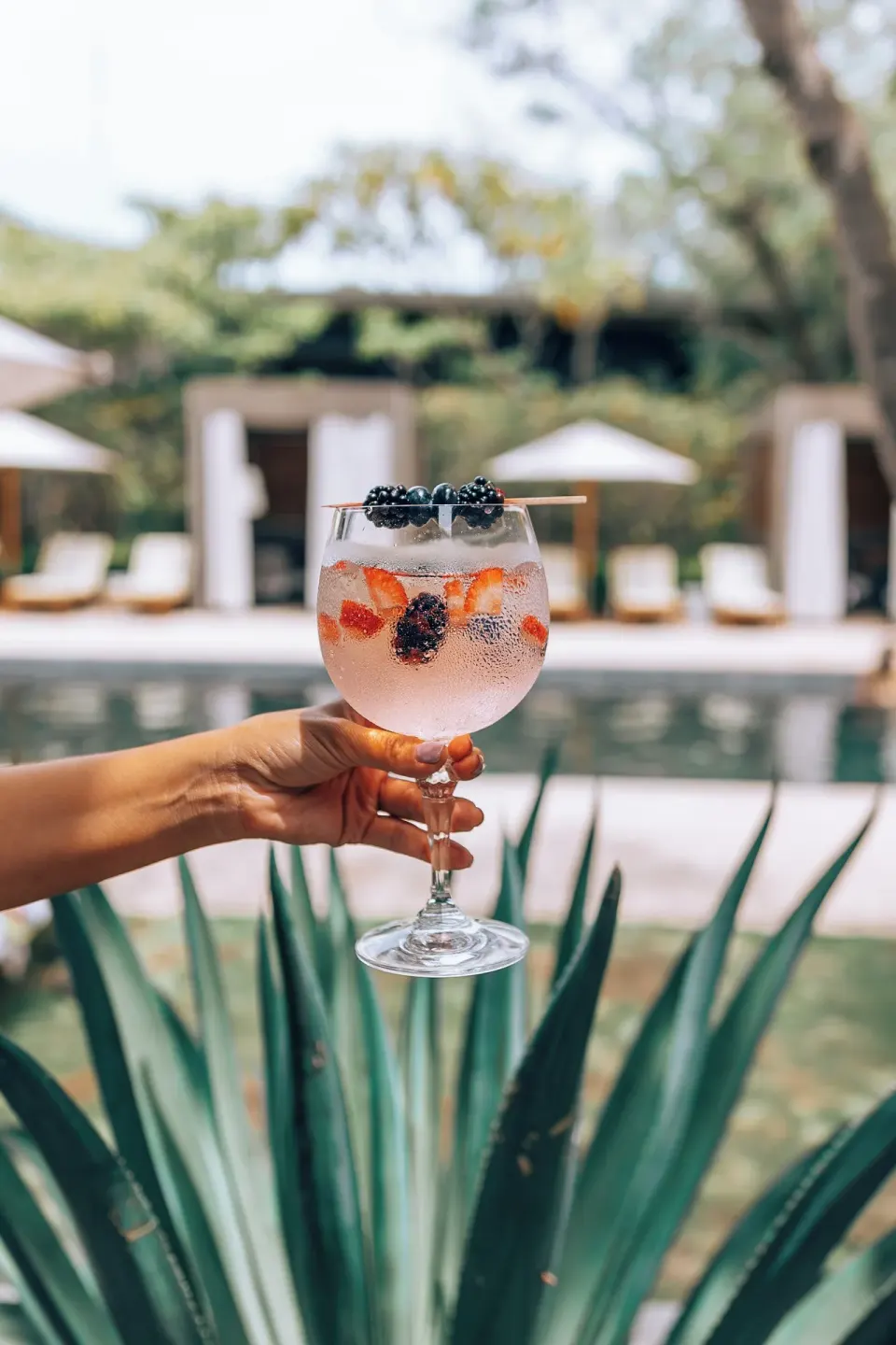 Berry gin and tonic held poolside at El Mangrorove Papagayo