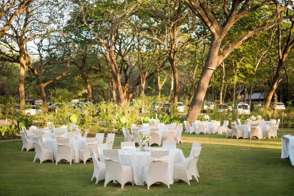 Outdoor lawn with multiple round dining tables under trees at El Mangroove Papagayo
