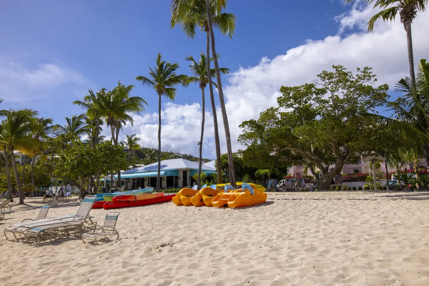 Sandy beach with kayaks, pedal boats, lounge chairs, and palms at Elysian Beach Resort.