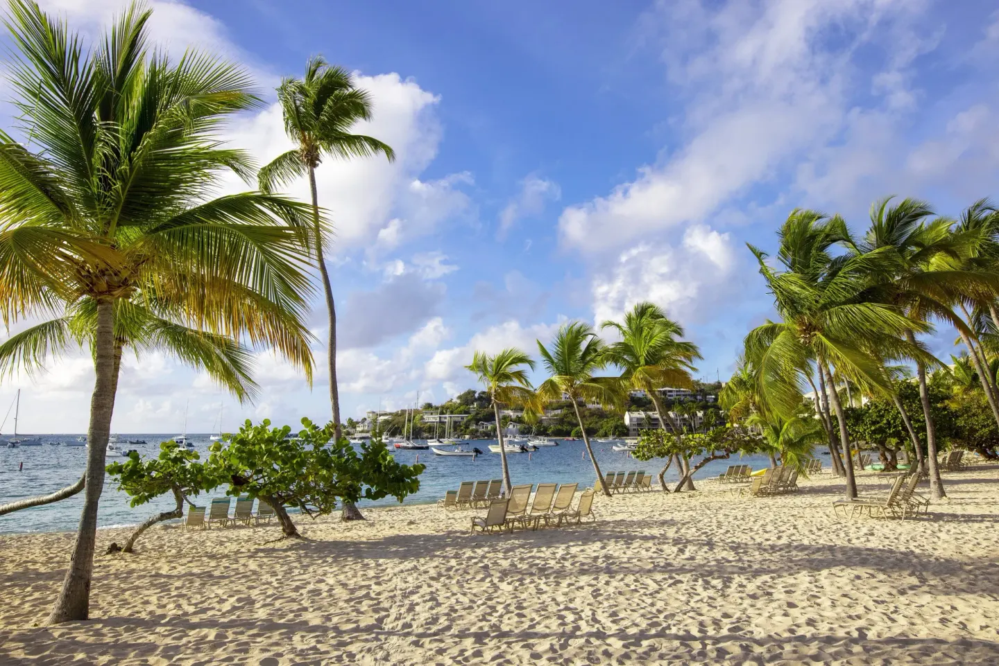 Palm trees and lounge chairs on the sandy beach at Elysian Beach Resort.