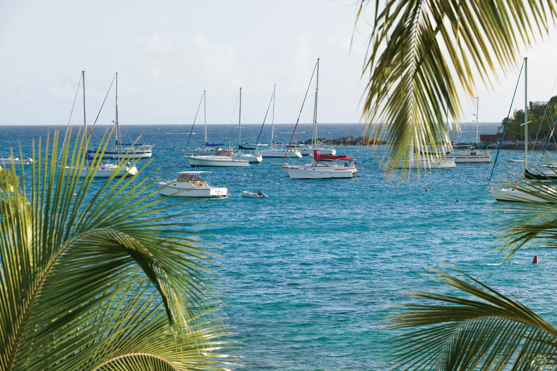 Sailboats on turquoise water framed by palm fronds at Elysian Beach Resort.