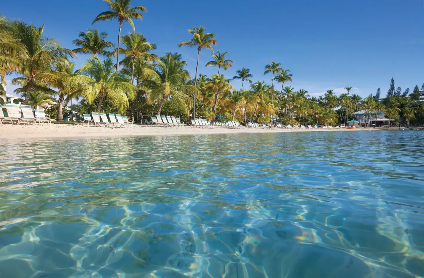 Clear water, sandy beach, lounge chairs, and palms at Elysian Beach Resort.