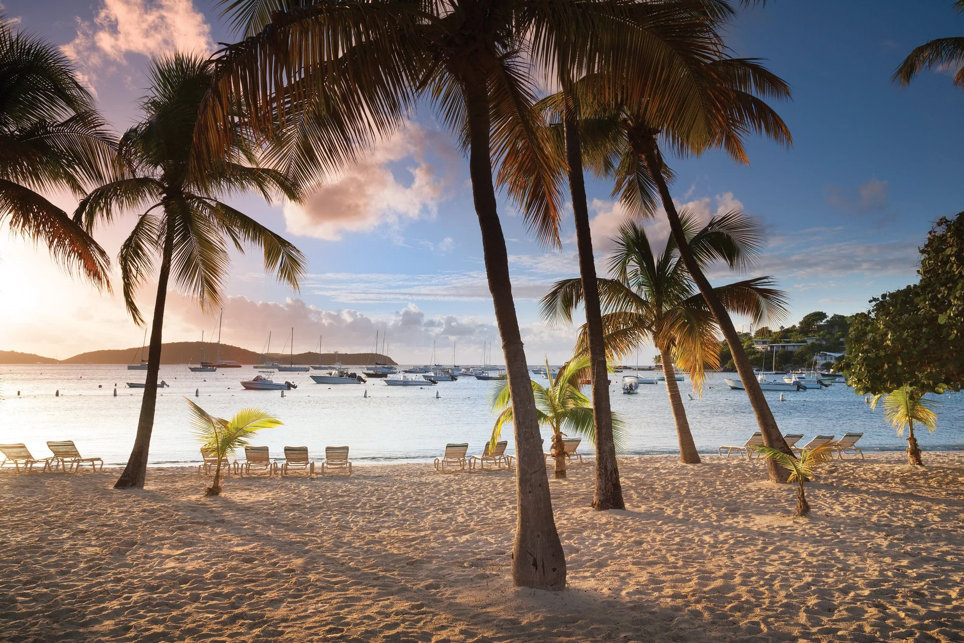 Palm-lined sandy beach with lounge chairs and anchored boats at Elysian Beach Resort.