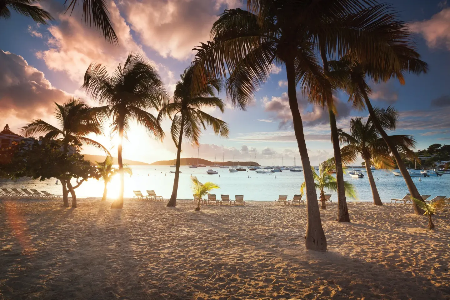 Sunset beach with palm trees, lounge chairs, and boats at Elysian Beach Resort.