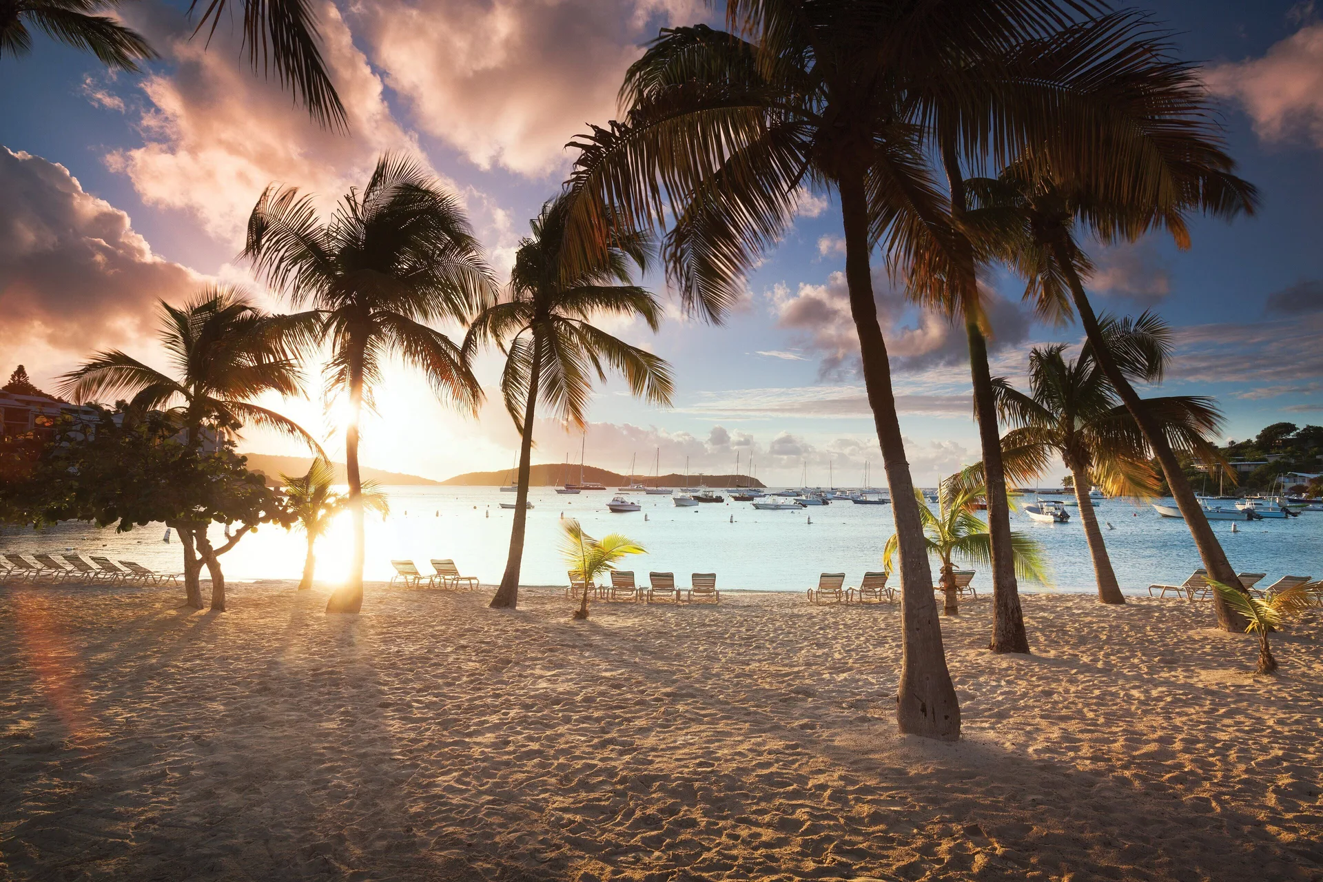 Sunset beach with palm trees, lounge chairs, and boats at Elysian Beach Resort.