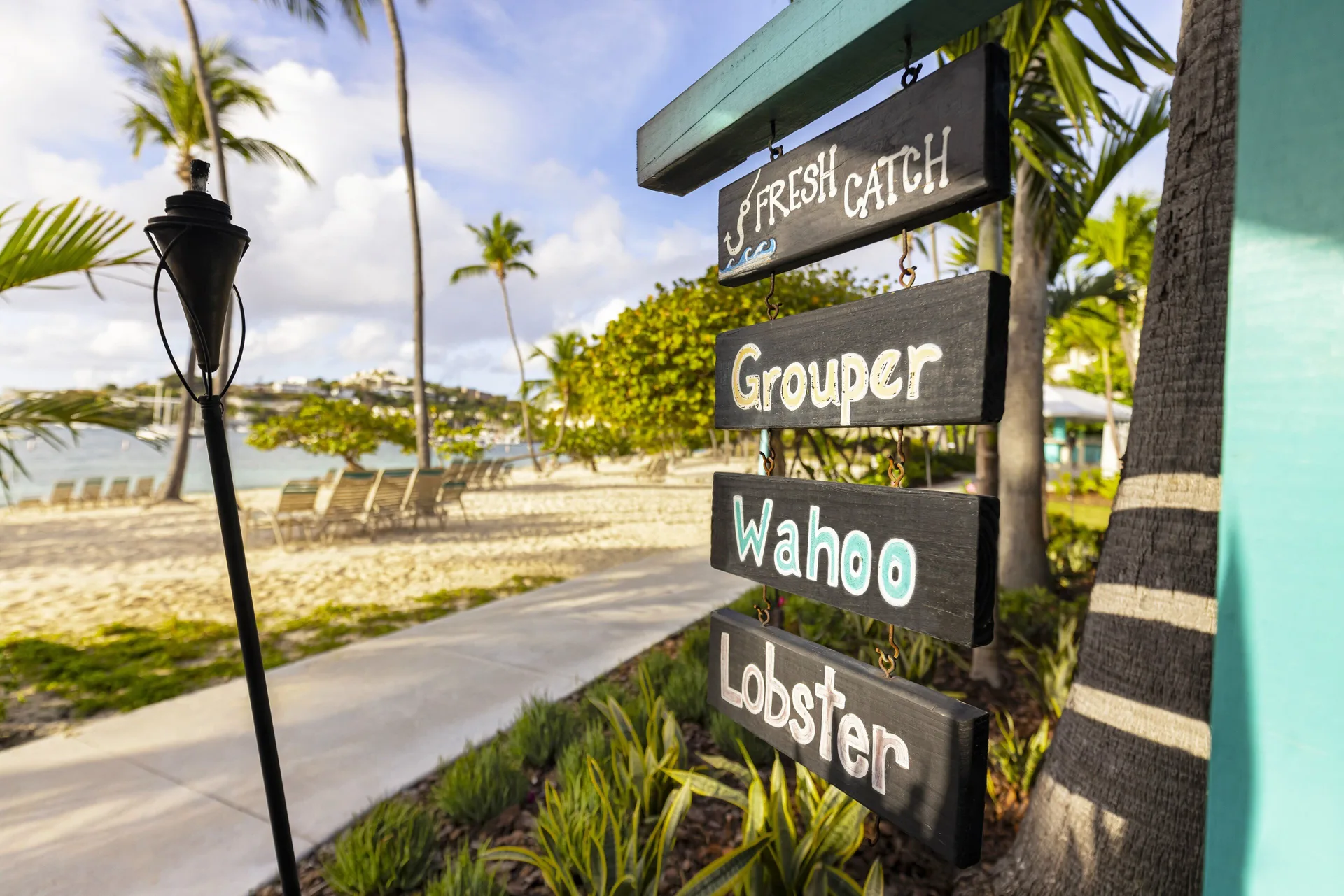 Fresh catch sign with beach and palms behind it at Elysian Beach Resort.