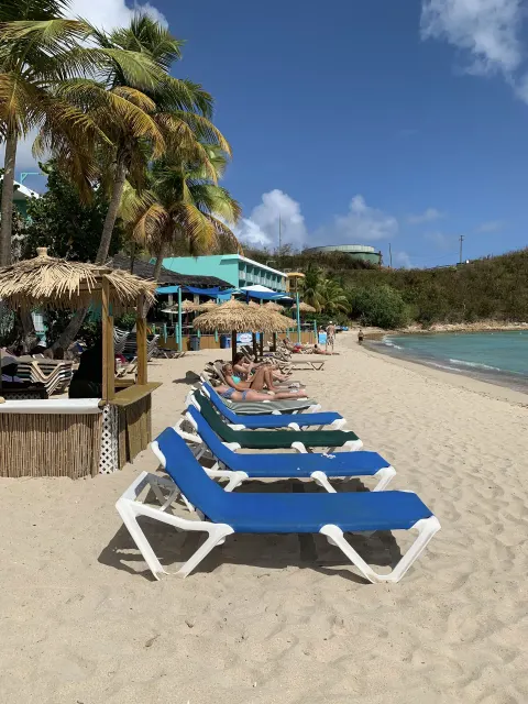 Blue beach loungers line the sand near palms and the shoreline at Emerald Beach Resort.