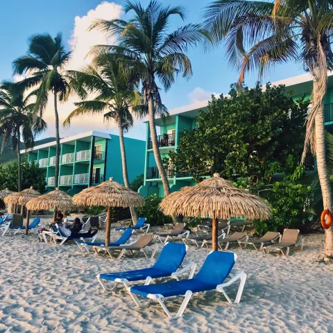 Beach loungers, thatched umbrellas, palms, and resort buildings at Emerald Beach Resort.