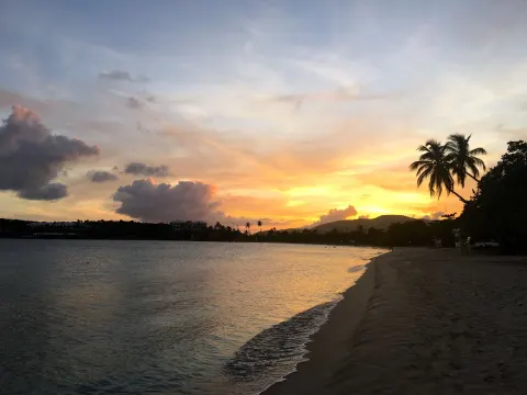 Sunset lights the shoreline, water, and palm silhouettes near Emerald Beach Resort.