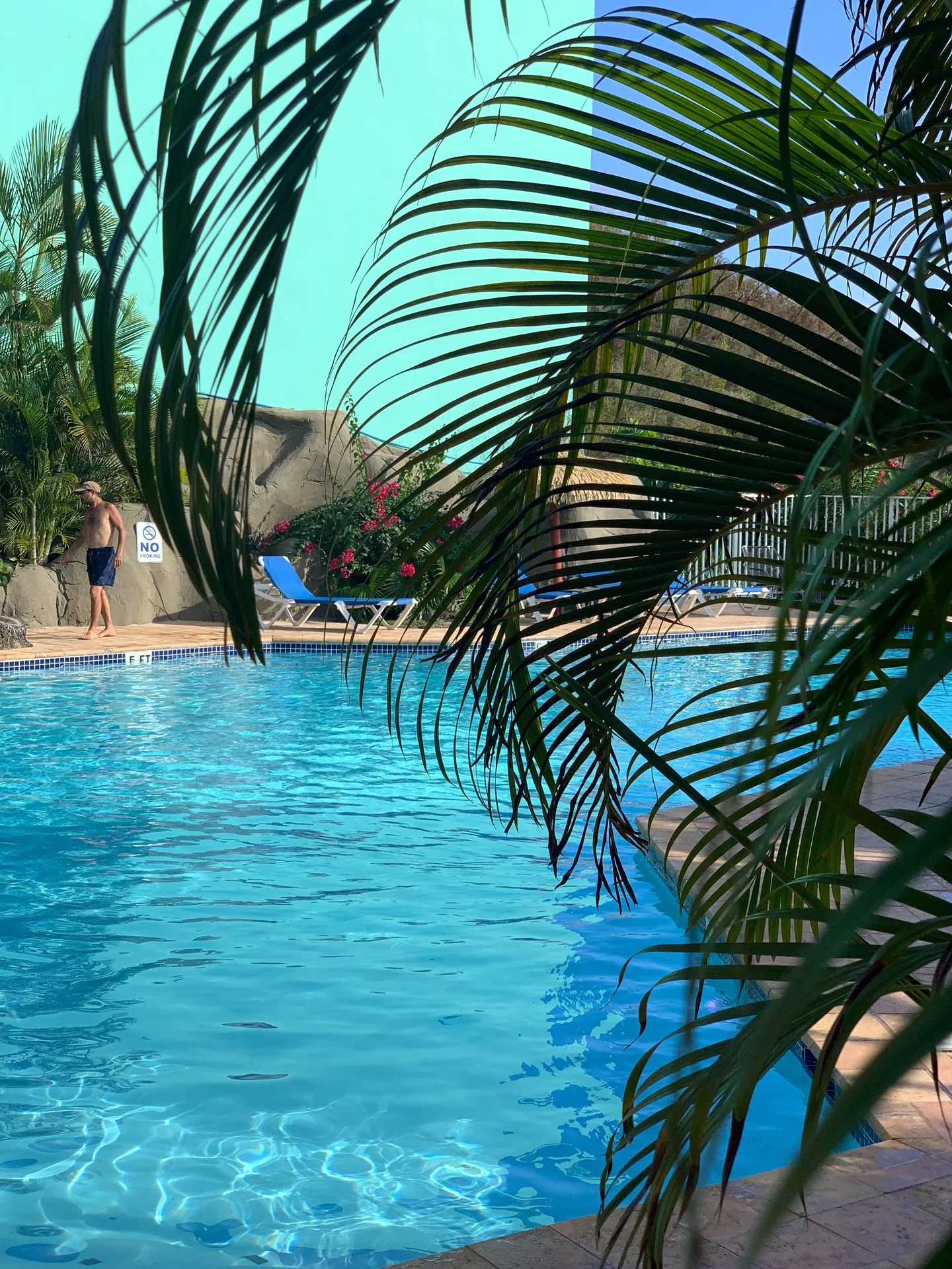 Swimming pool framed by palm fronds at Emerald Beach Resort.