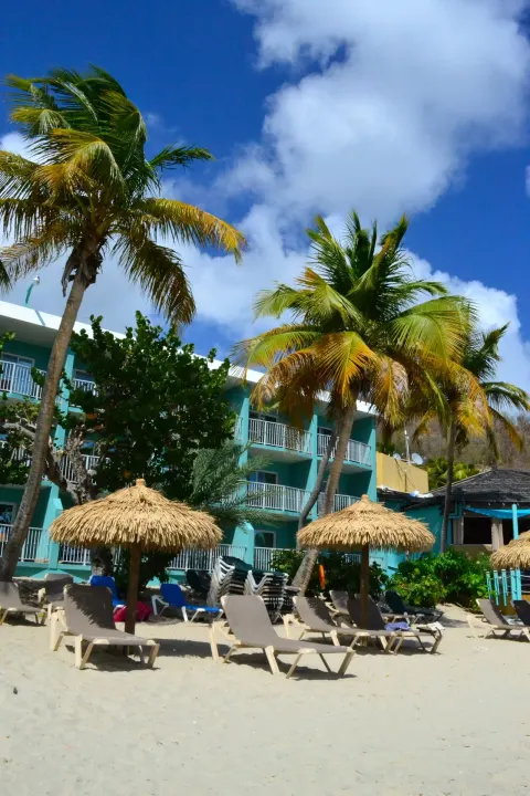 Palm trees, thatched umbrellas, and beach loungers at Emerald Beach Resort.
