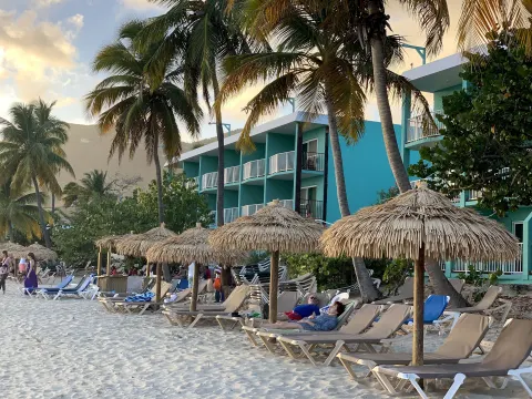 Thatched umbrellas shade beach loungers beside palm trees and rooms at Emerald Beach Resort.