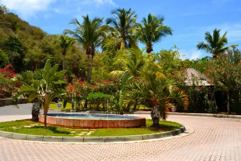 Palm-lined entrance fountain and tropical landscaping at Emerald Beach Resort.