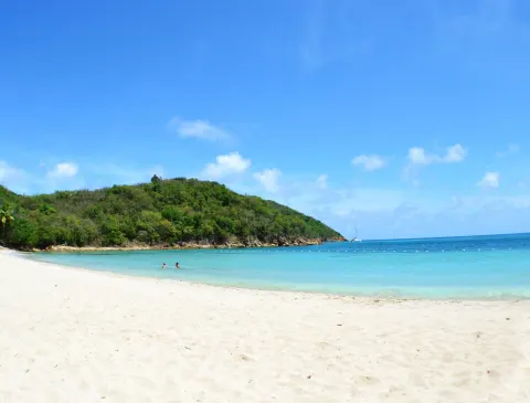 White sand and clear turquoise water stretch toward a green headland at Emerald Beach Resort.