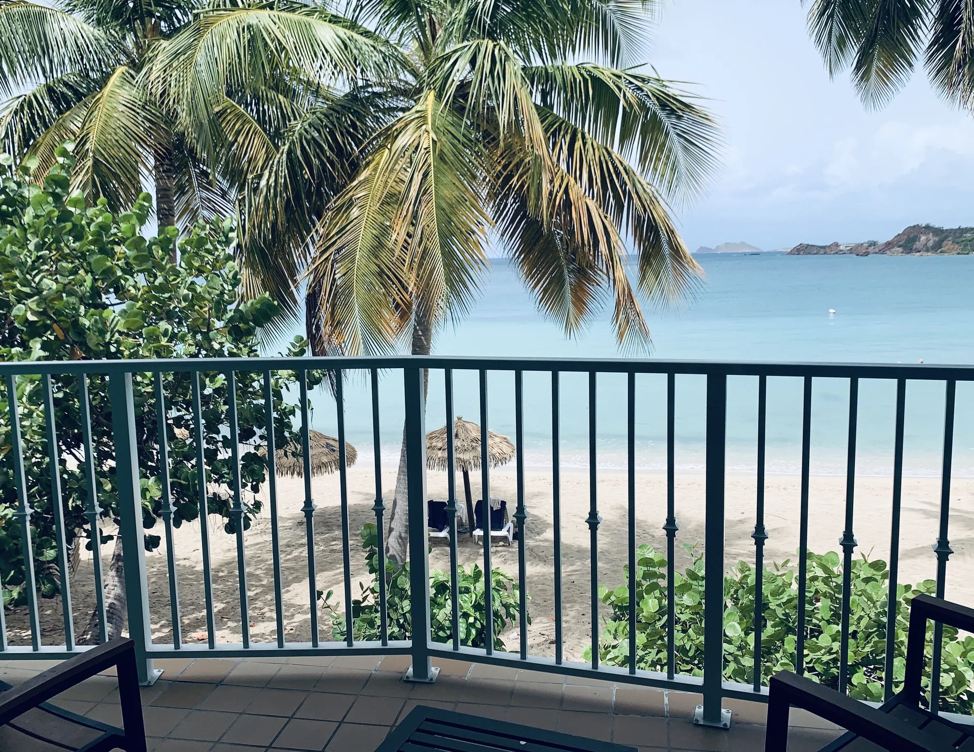 Beachfront Premium balcony overlooking beach and palms at Emerald Beach Resort.