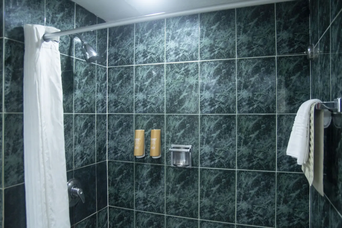 Superior Mountain View bathroom shower with green tile at Emporio Ixtapa.