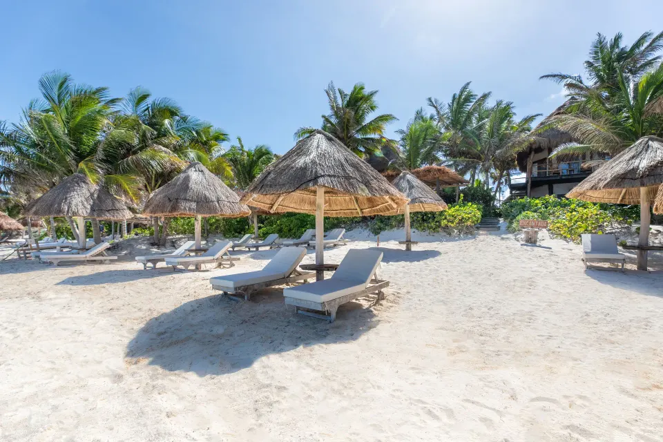 Beach loungers and palapas on powdery sand with palms behind at Encantada Tulum
