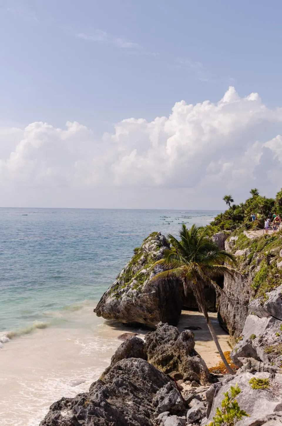 Rocky cliff cove and small sandy beach with palm trees overlooking the sea at Encantada Tulum.