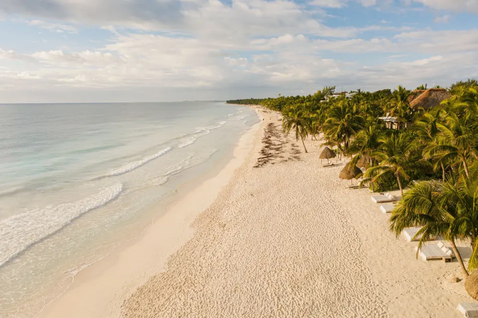 Aerial view of a wide sandy beach and beachfront palms at Encantada Tulum