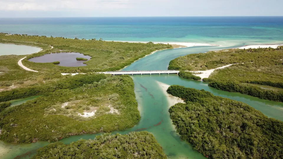 Aerial view of a mangrove inlet and bridge opening to the sea near Encantada Tulum.