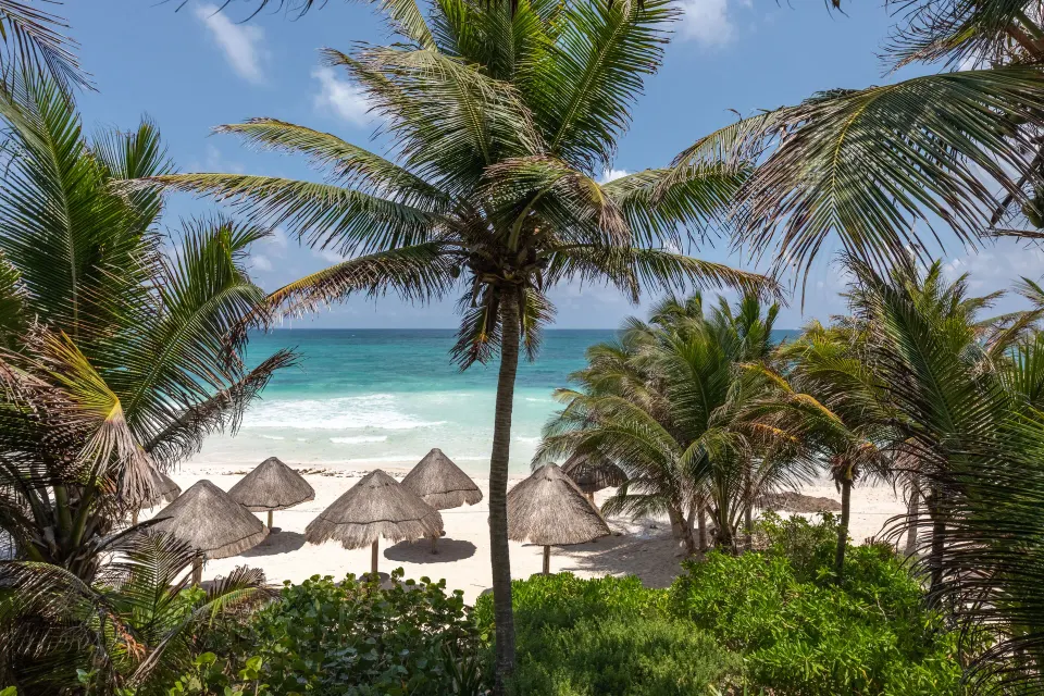 Beachfront palapas and turquoise surf seen through palm fronds at Encantada Tulum