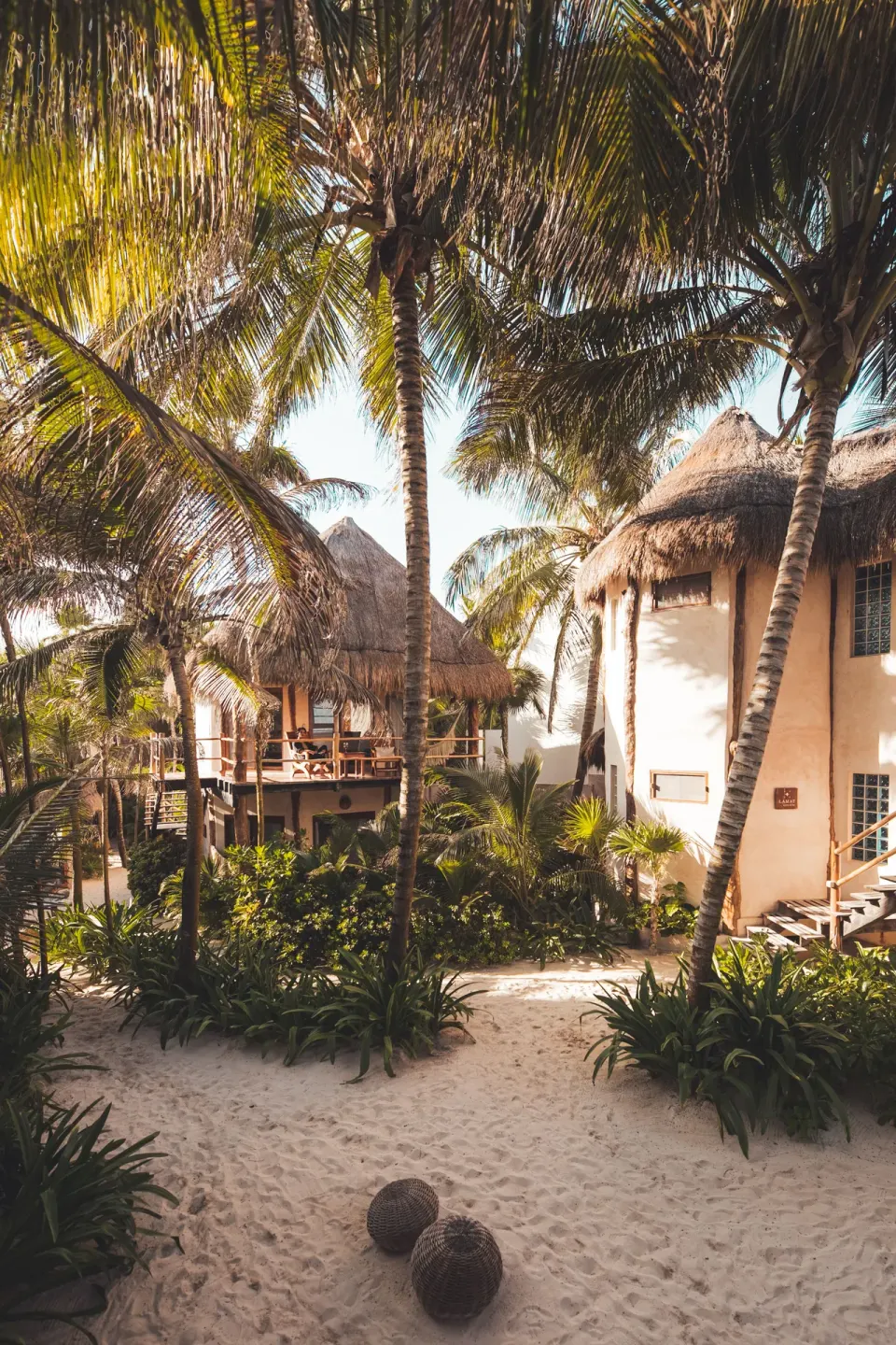 Sandy pathway between palms and thatched-roof buildings at Encantada Tulum