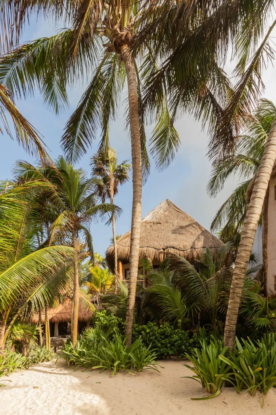 Palm trees, sand path and thatched-roof bungalows at Encantada Tulum
