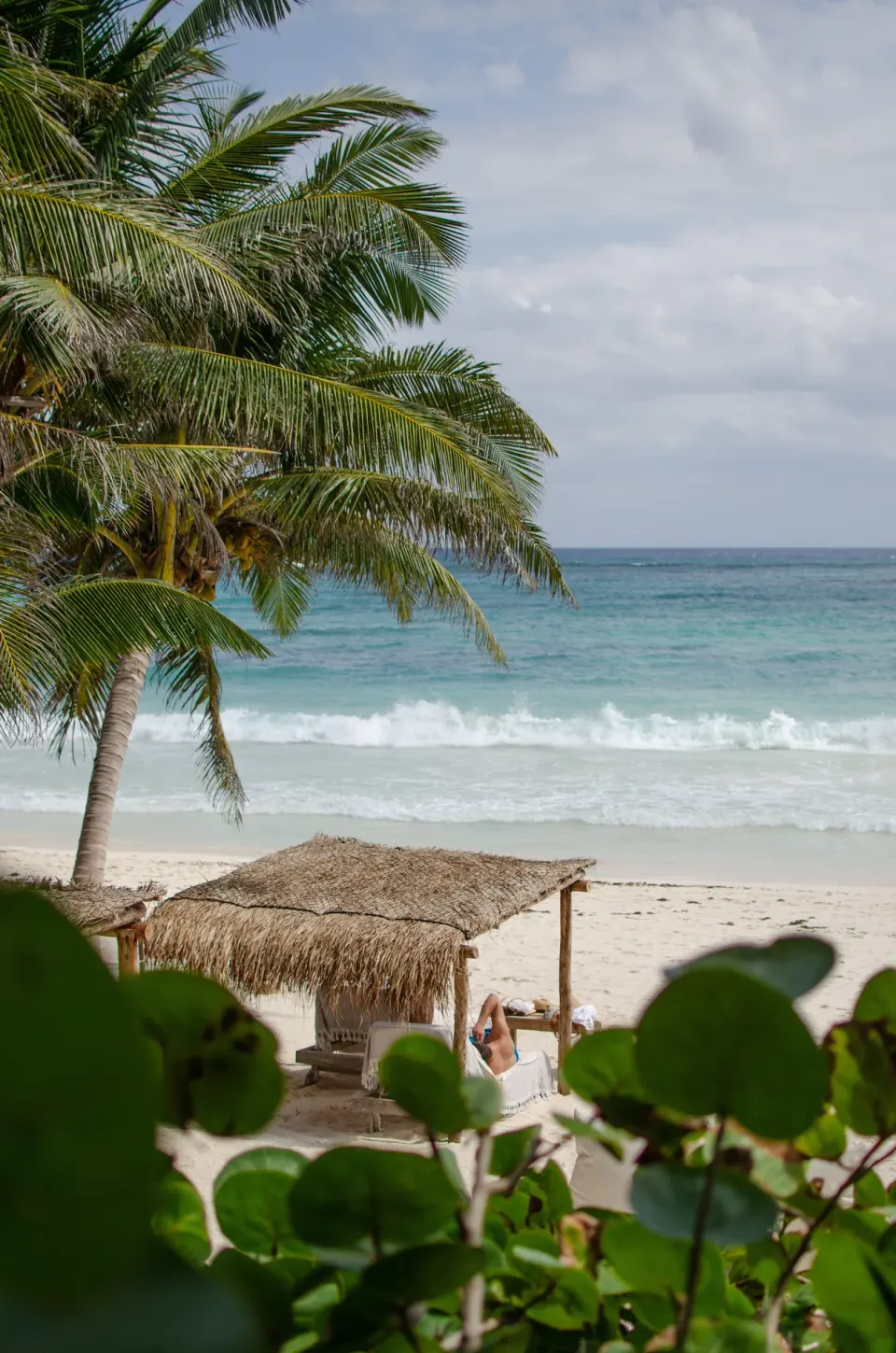 Small thatched cabana near the shoreline seen through coastal vegetation at Encantada Tulum