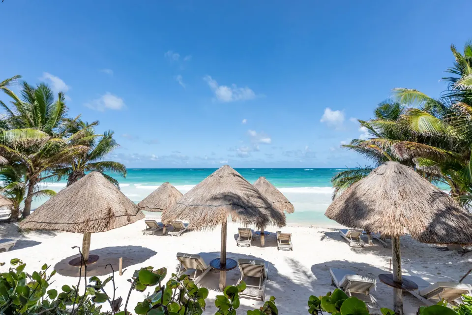 Row of thatched umbrellas and loungers on the sunny beach at Encantada Tulum