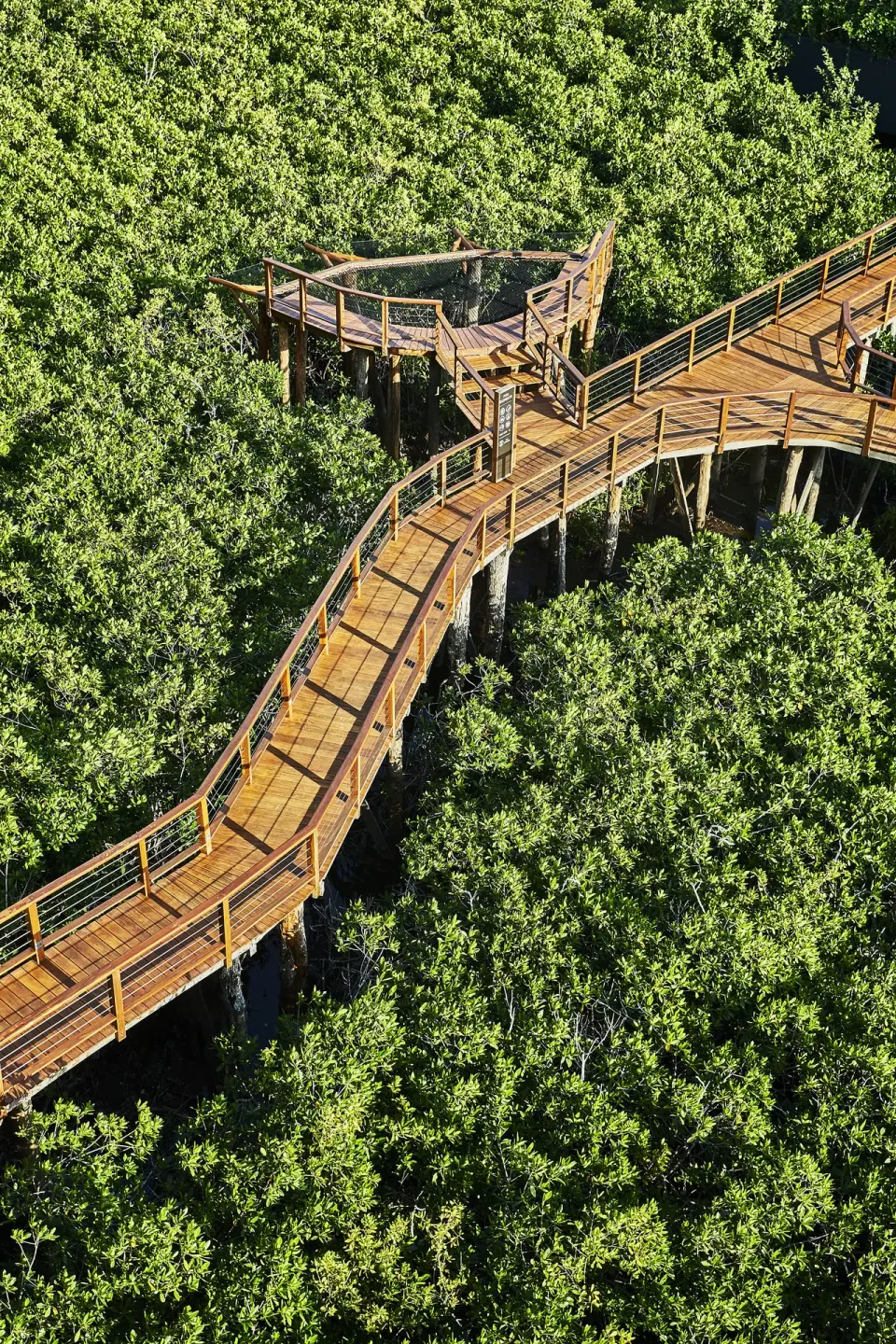 Elevated wooden boardwalk winding through mangroves at Etéreo, Auberge Collection.