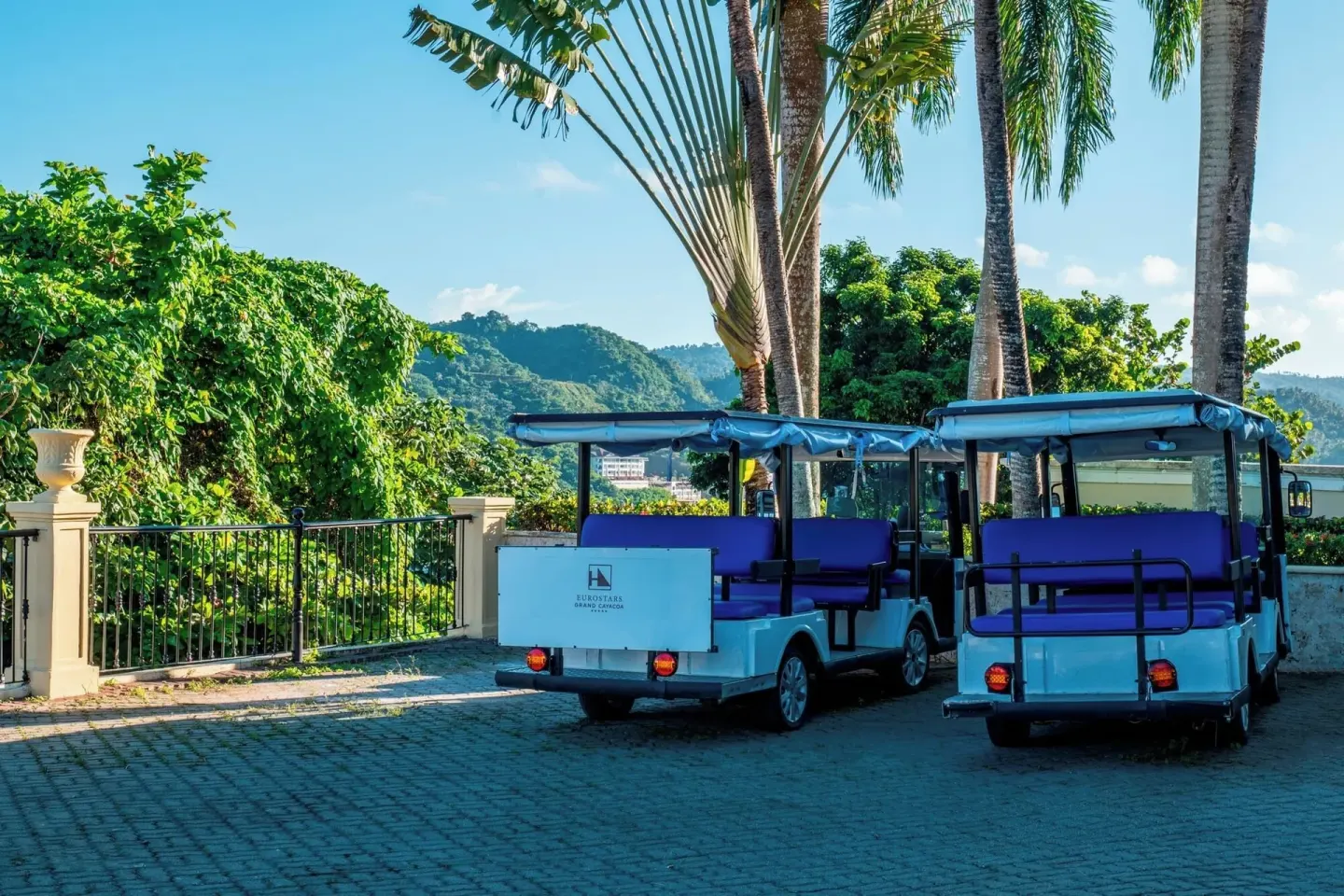 Resort shuttle carts parked near palms at Eurostars Grand Cayacoa.