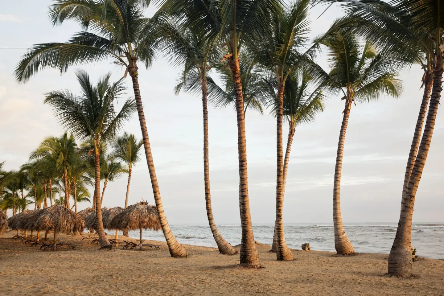 Palm trees, palapas, lounge chairs, and shoreline on the beach at Excellence El Carmen.