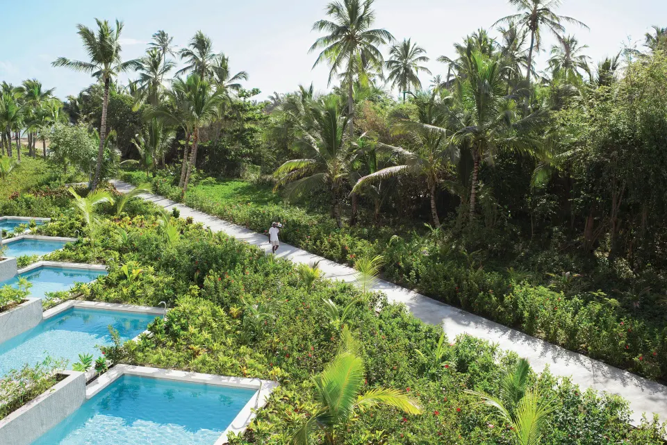 Junior Suite private pools beside a palm-lined garden path at Excellence El Carmen.