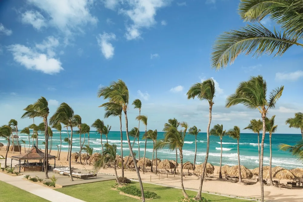 Palm-lined beach with palapas and turquoise surf at Excellence Punta Cana.
