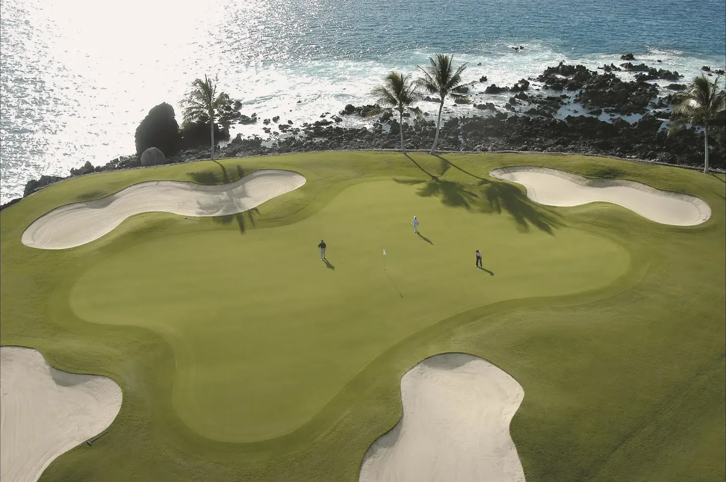 An oceanfront golf green with sand bunkers and palm trees at Fairmont Orchid.