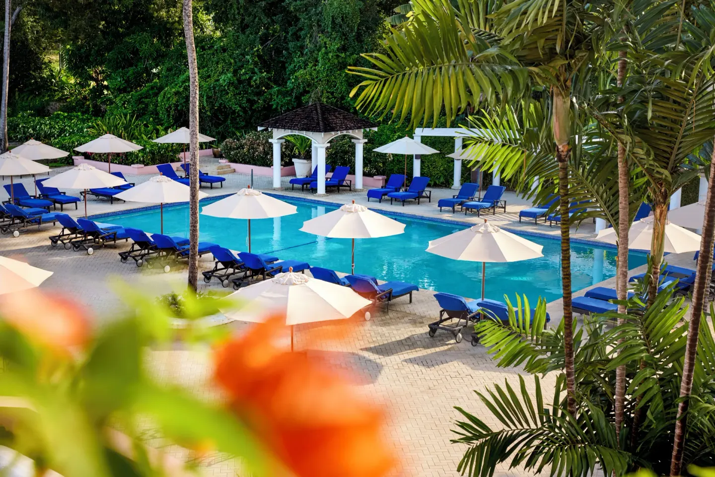Pool with blue loungers, white umbrellas, and palms at Fairmont Royal Pavilion.