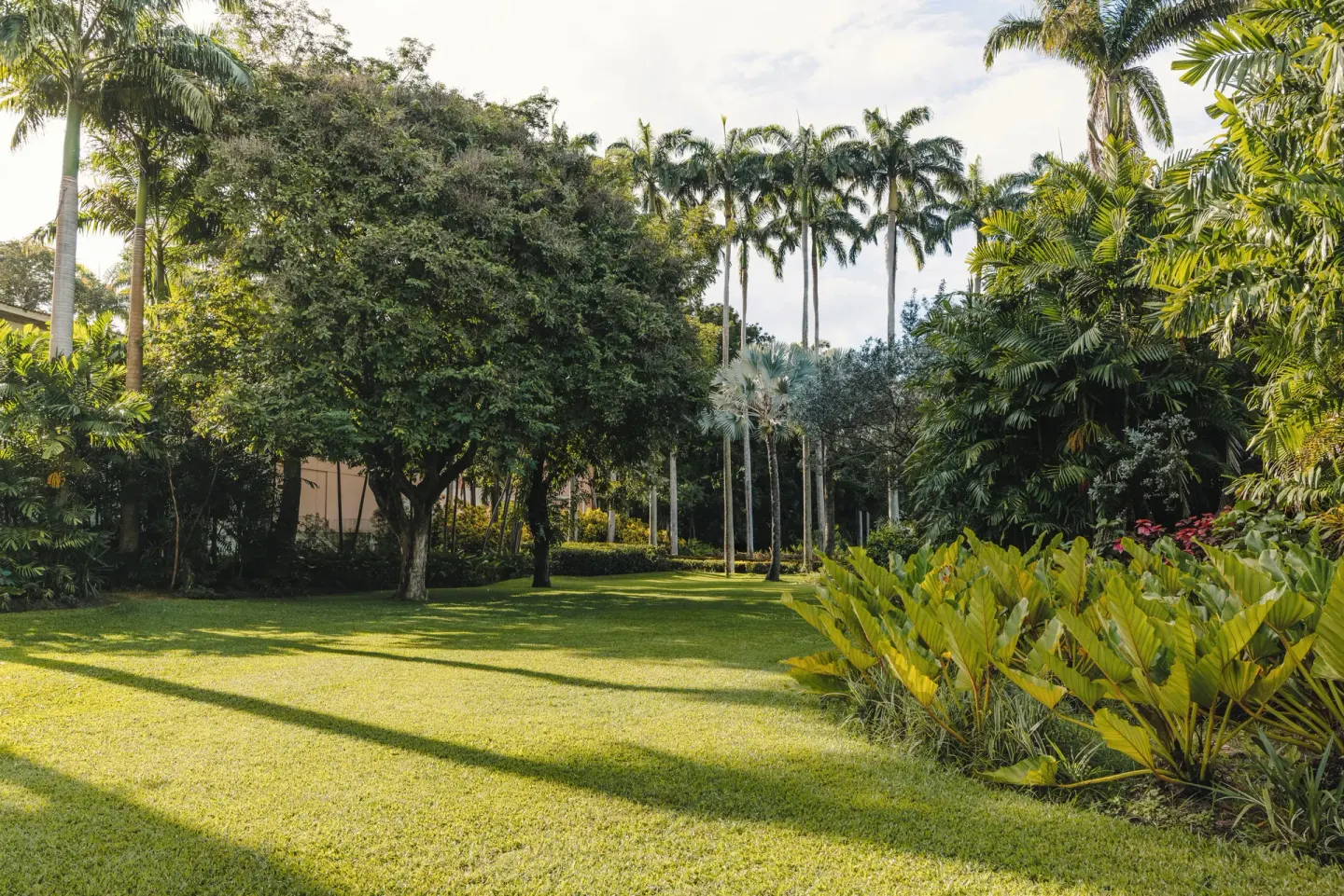 Manicured lawn and tropical palms in the gardens at Fairmont Royal Pavilion.