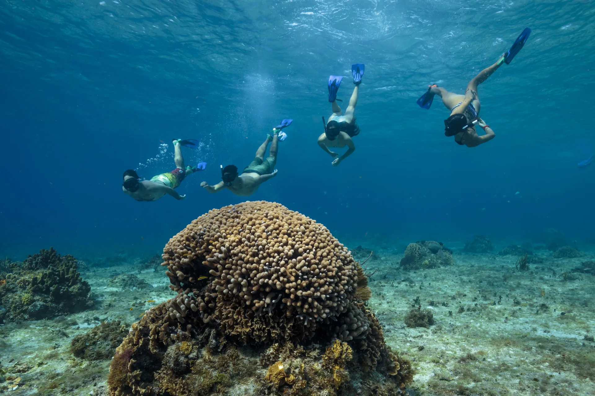 Group of snorkelers swimming over a coral reef near Fiesta Americana Cozumel.