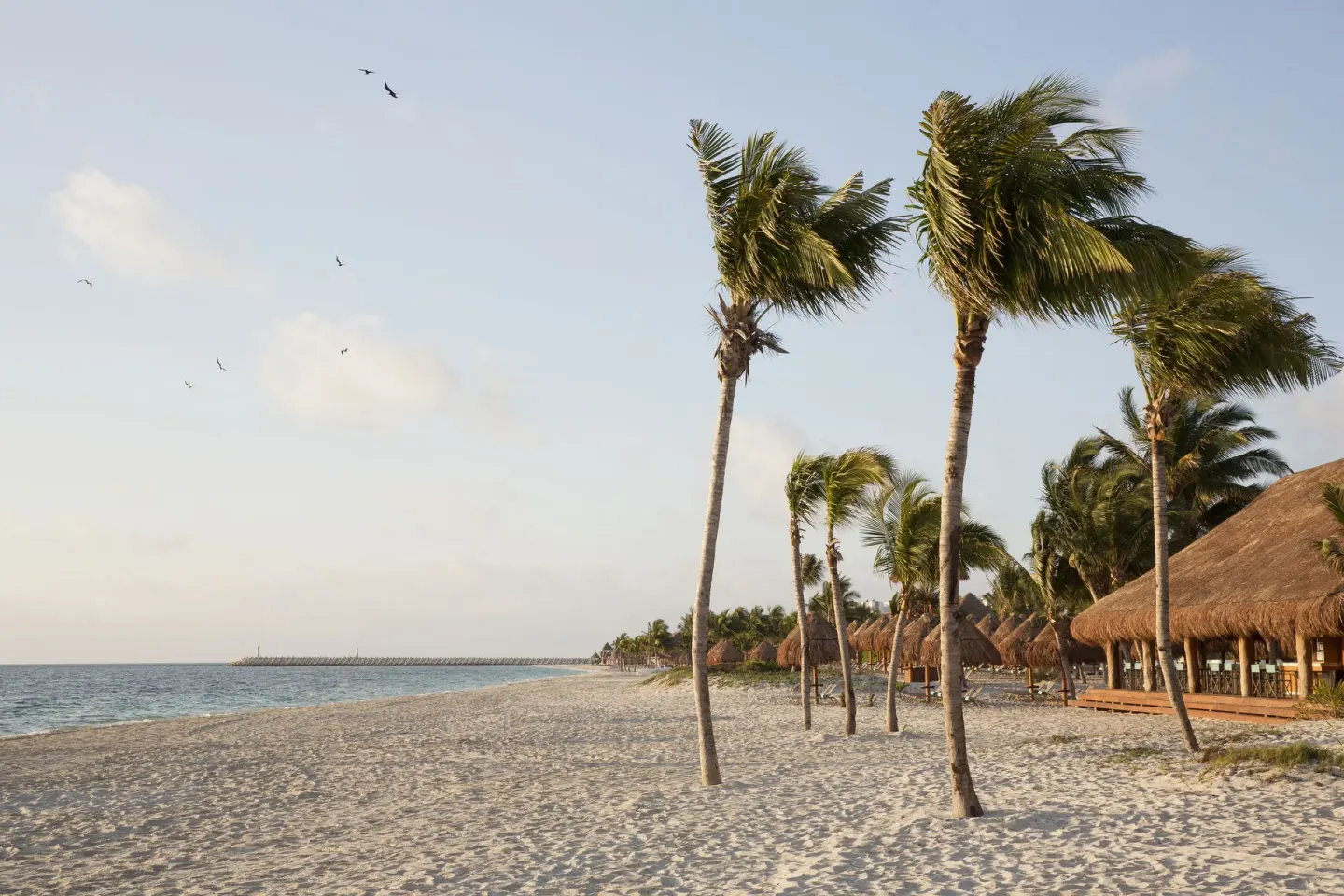 Palm-lined beach with palapas and ocean at Finest Playa Mujeres.