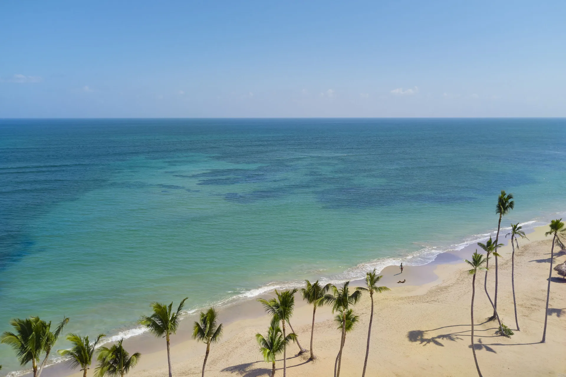 Palm trees lining a quiet beach with clear ocean water at Finest Punta Cana.