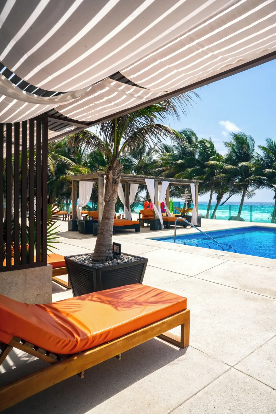 Deluxe Pool Terrace Walkout lounger by the pool and palm trees at Flamingo Cancun.