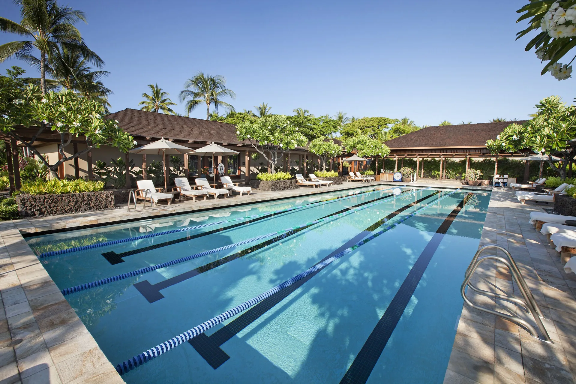 Lap pool with lounge chairs and palms at Four Seasons Resort Hualalai.