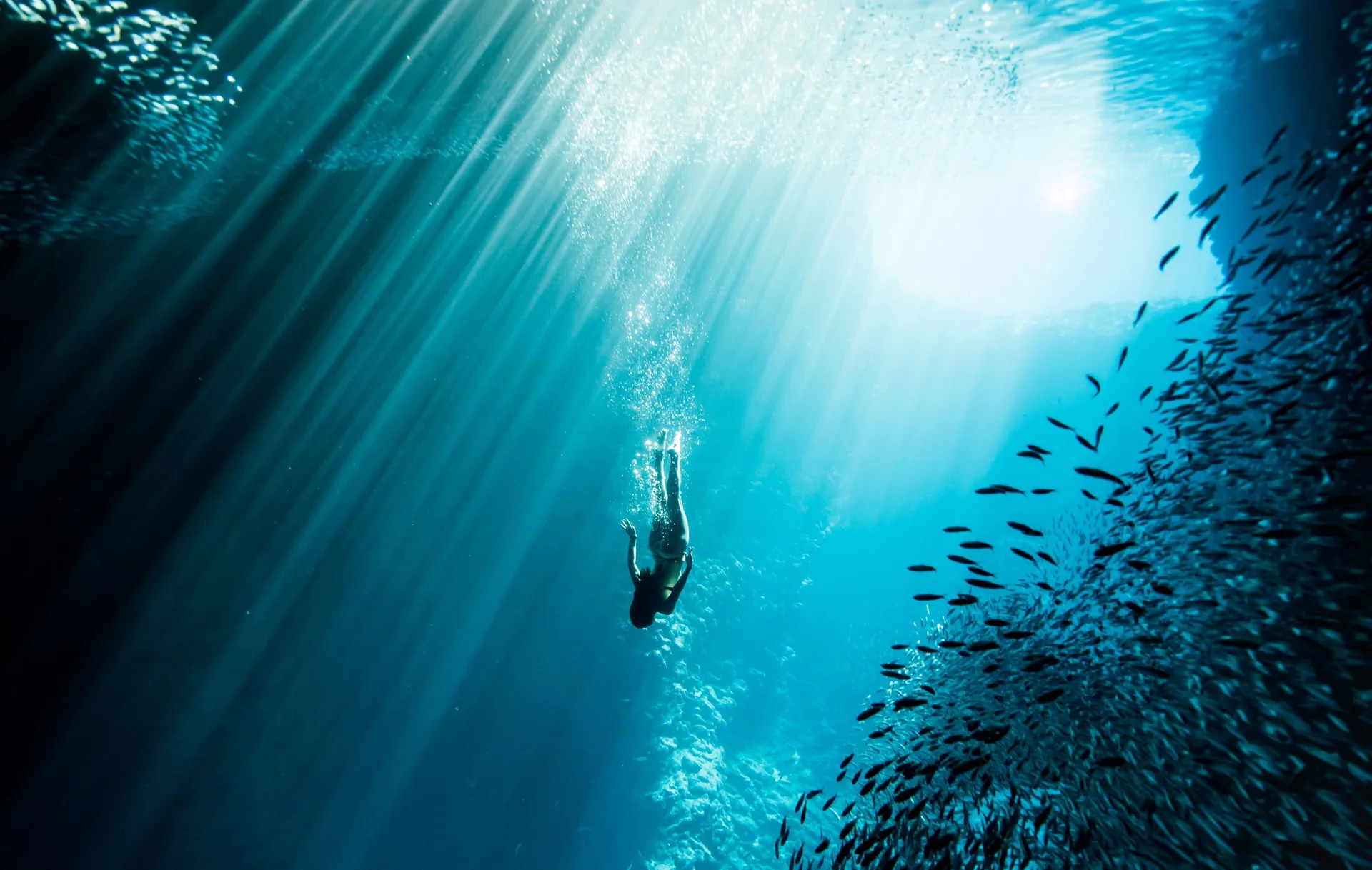 Underwater swimmer with fish and sunbeams at Four Seasons Resort Hualalai.