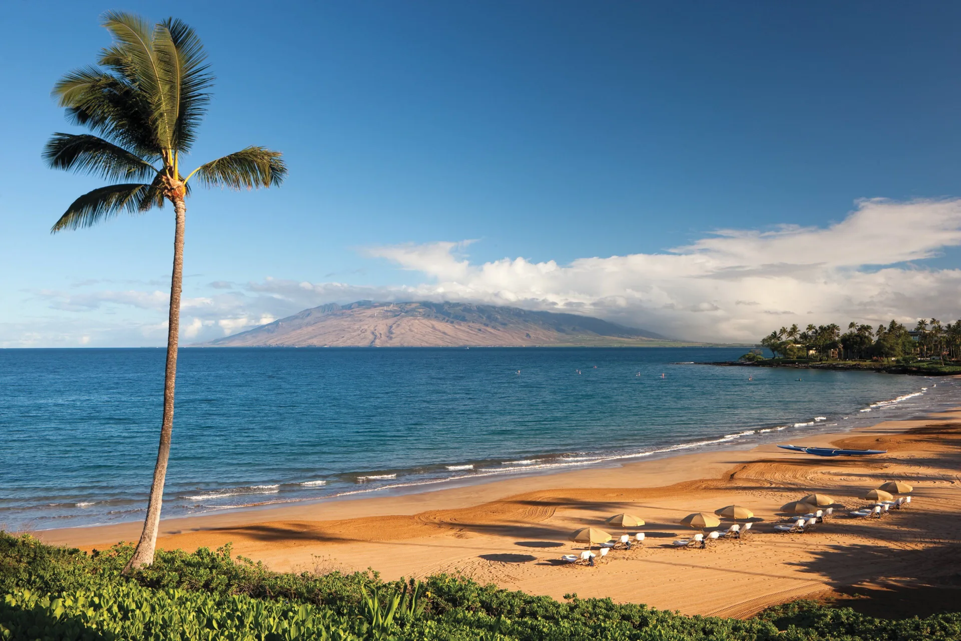 Wailea beach, palm tree and ocean view at Four Seasons Resort Maui at Wailea.