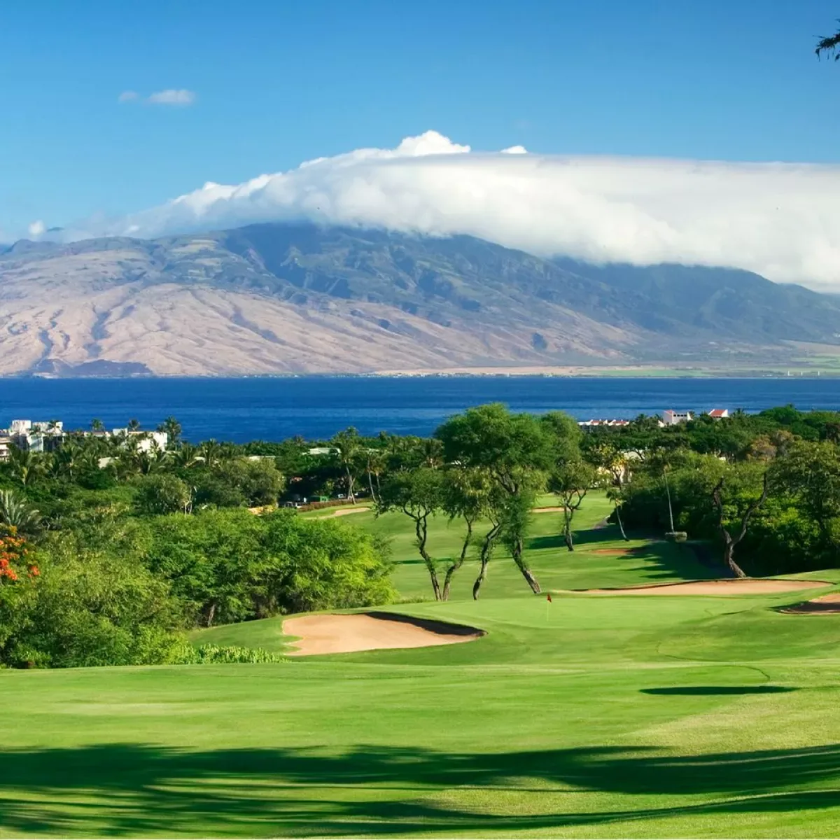 Wailea Blue Golf Course 10 Min Walk