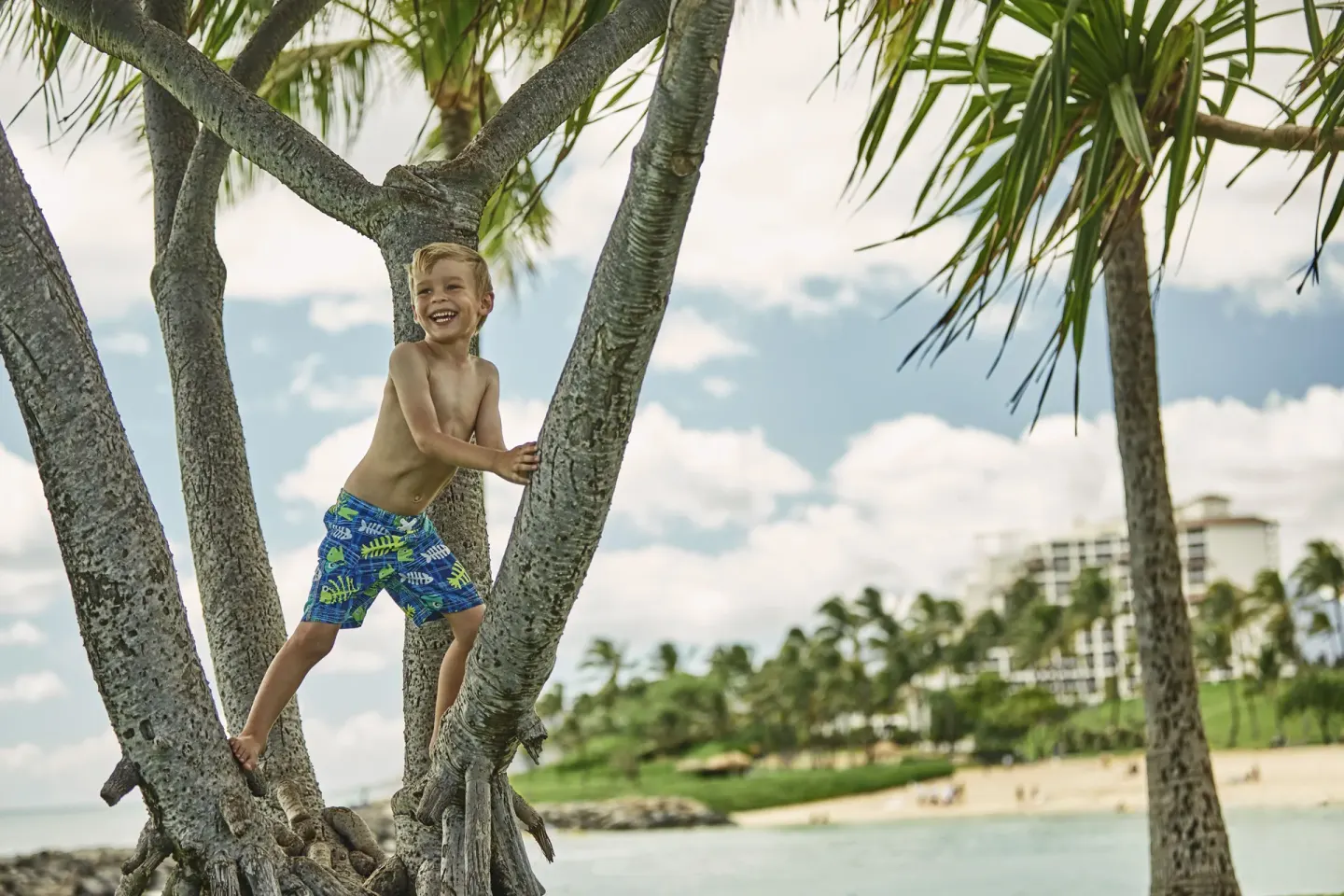 Child climbing a coastal tree near the beach at Four Seasons Resort Oahu at Ko Olina.