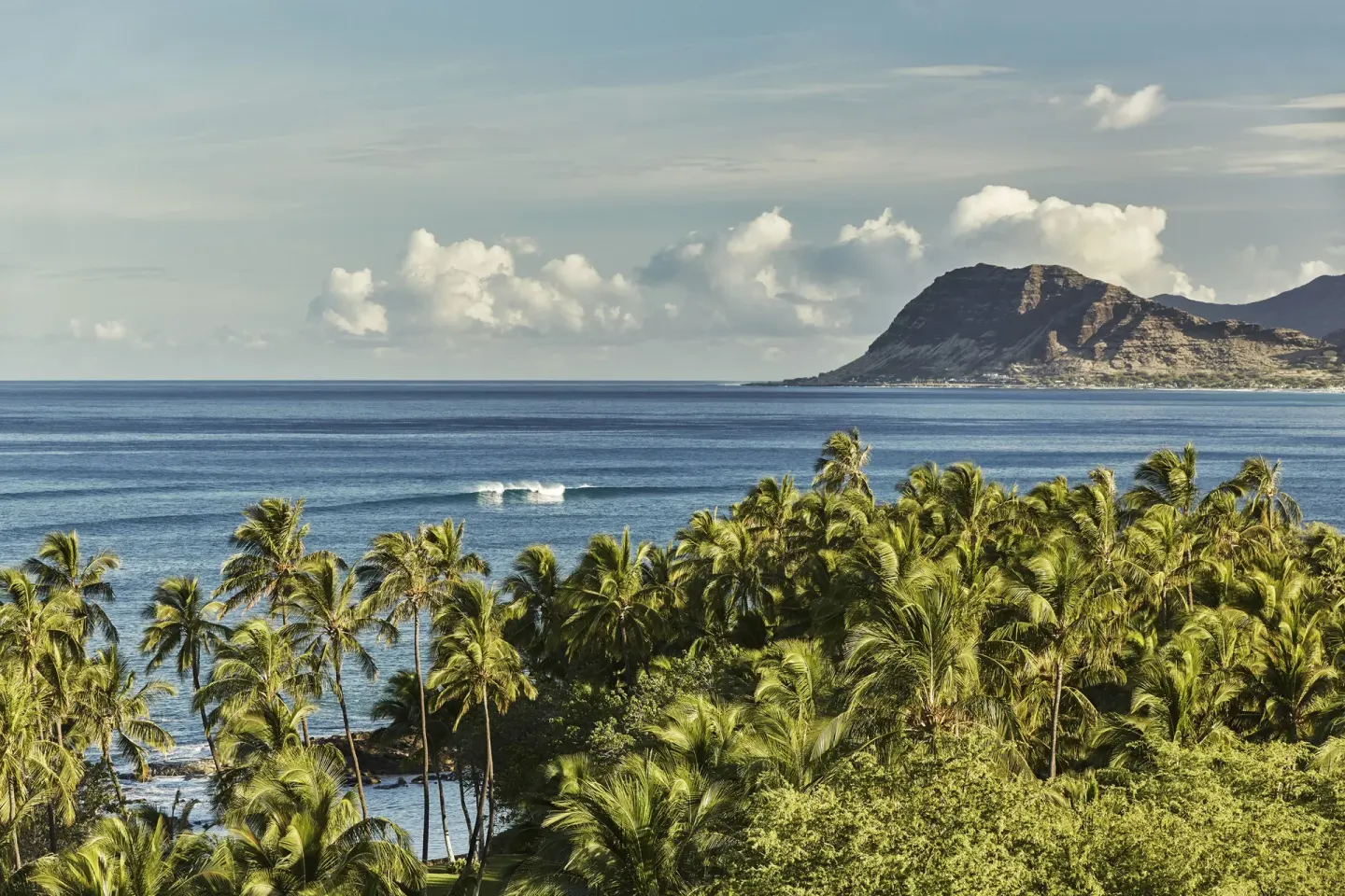Palm trees, ocean and coastal mountains near Four Seasons Resort Oahu at Ko Olina.
