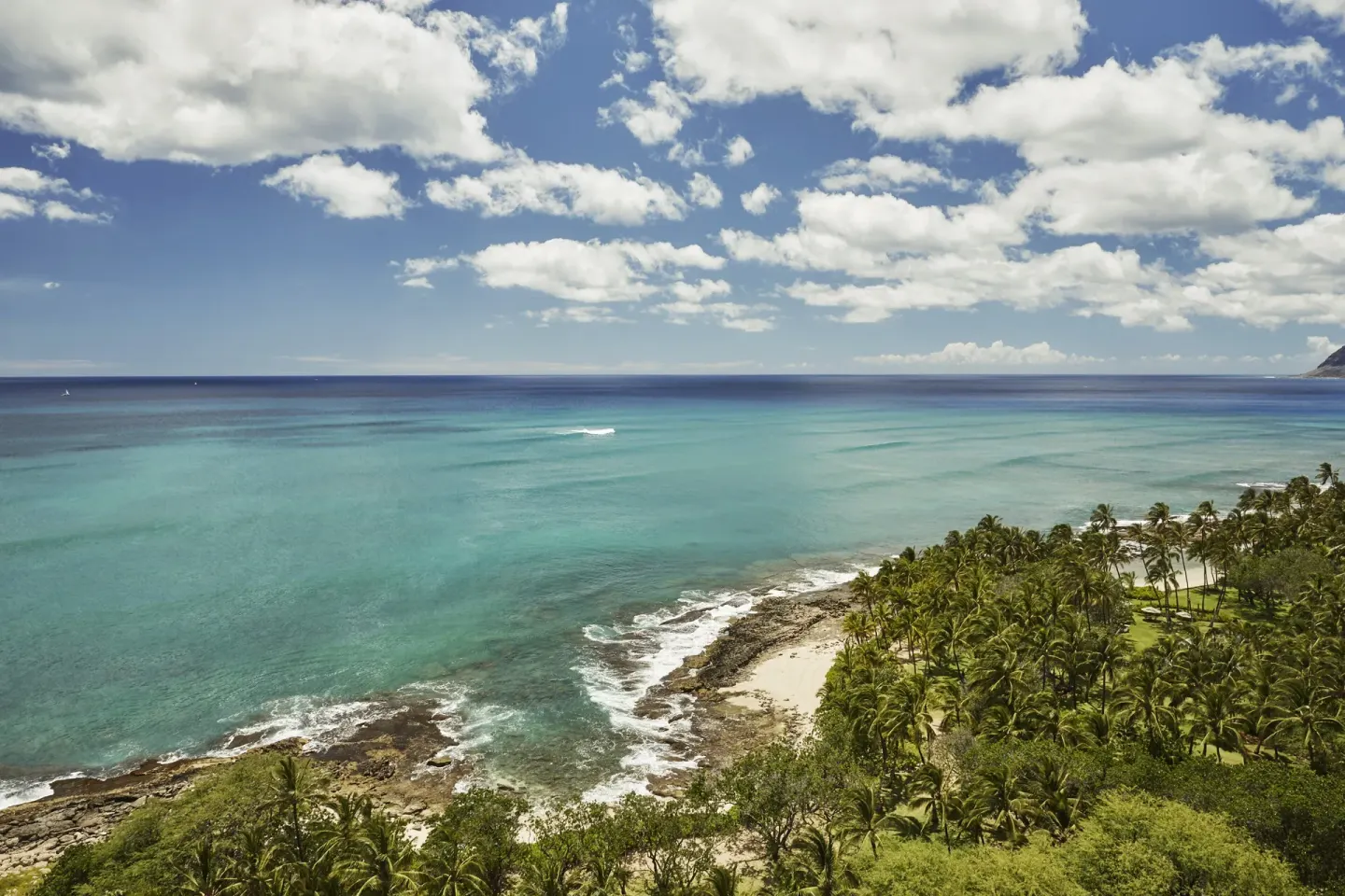 Turquoise ocean, rocky shoreline and palms by Four Seasons Resort Oahu at Ko Olina.